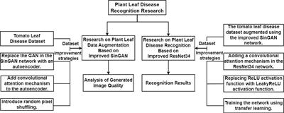 Plant leaf disease recognition based on improved SinGAN and improved ResNet34